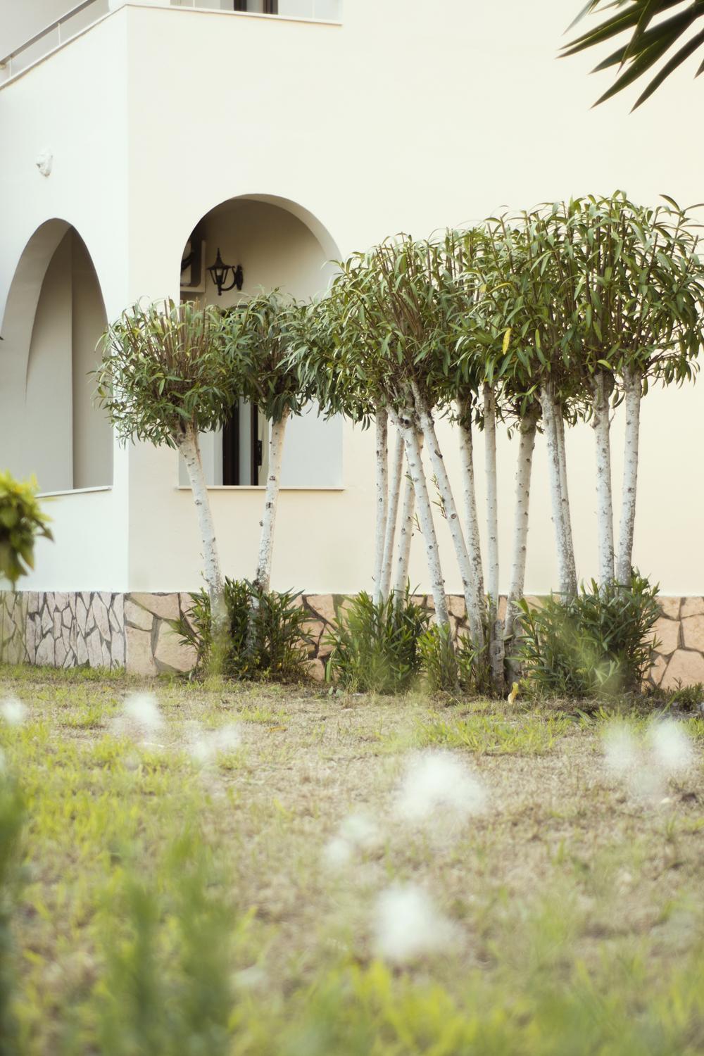 דירות לפקימי Parakladi Seaside Retreat מראה חיצוני תמונה